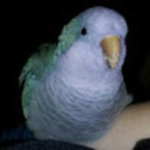 Meet your Posher, Mary beth